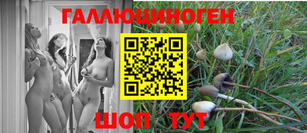 Галлюциногенные грибы прущие грибы  Вход с VPN  Димитровград 